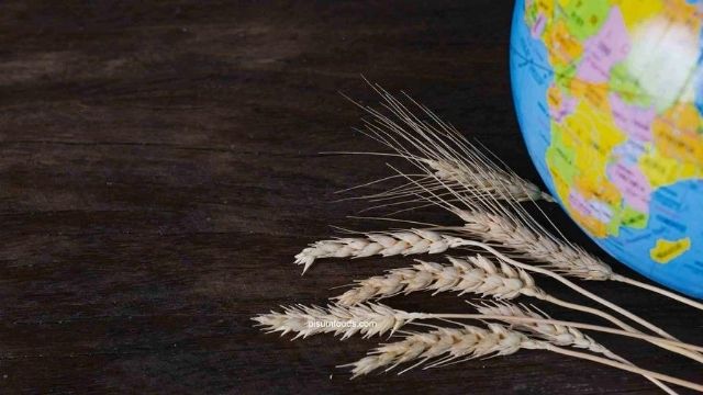 Top Rice Importing Countries from India